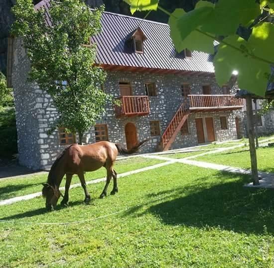 Bujtina Berishta Theth Hotel Kültér fotó